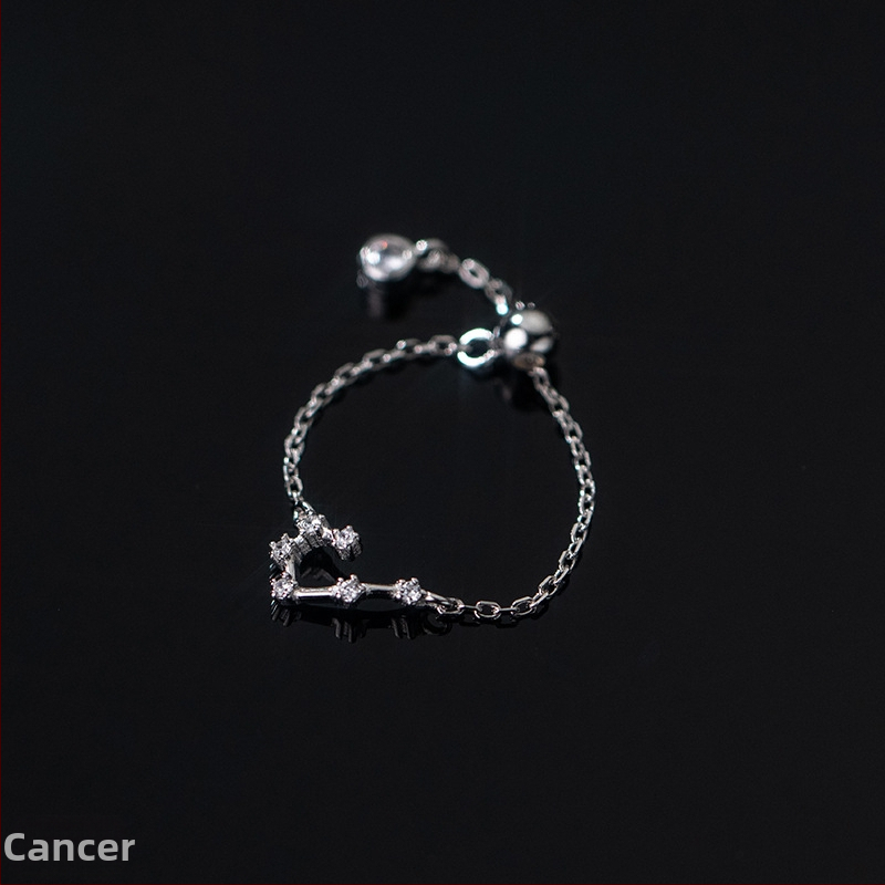 Dámsky strieborný prsteň s 925 v kórejskom štýle, módny, s diamantmi vsadenými, dvanástimi súhvezdiami, elegantný prsteň s svetelnými korálkami, ukazovák, dámsky prsteň J4963