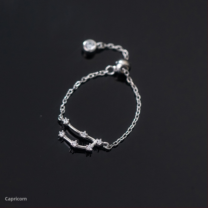 Dámsky strieborný prsteň s 925 v kórejskom štýle, módny, s diamantmi vsadenými, dvanástimi súhvezdiami, elegantný prsteň s svetelnými korálkami, ukazovák, dámsky prsteň J4963