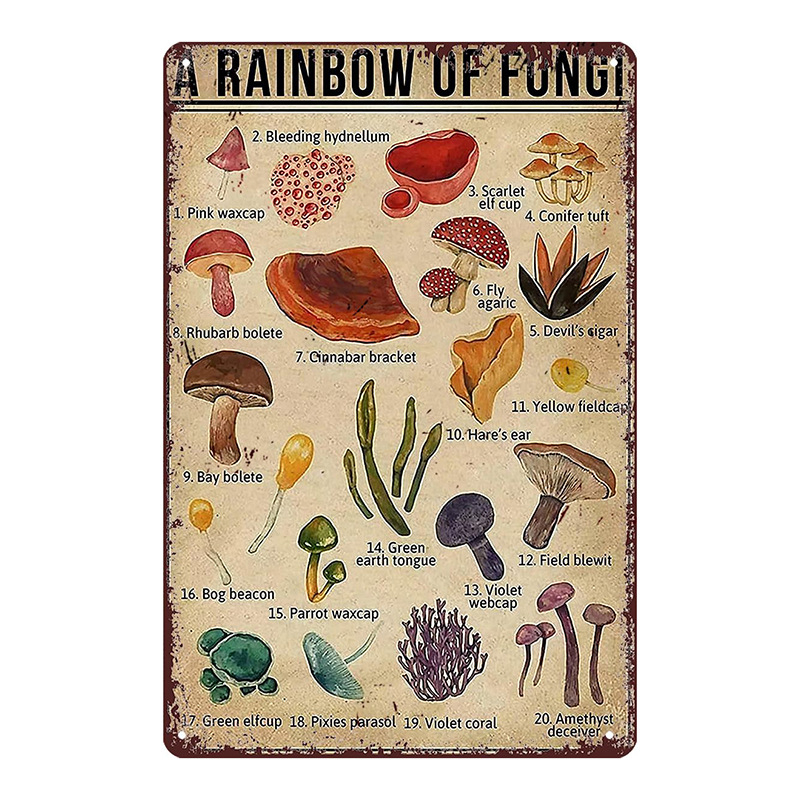 Трансграничен горещо продаван интересен знак за петел, ретро селска къща, петел, американски железен художник, домашен плакат, декорация на ресторант, живопис