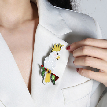 Διασυνοριακό πρωτότυπο χειροποίητο ακρυλικό κλιπ μαλλιών καρφίτσα ζώου ψυγείο παπαγάλος ευρωπαϊκά και αμερικανικά αξεσουάρ μόδας