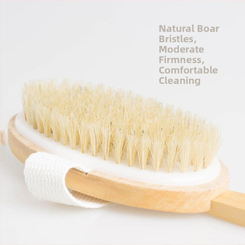 Sandėlyje yra tarpvalstybinis karšto pardavimo ilga rankena medinis vonios šepetys su šereliais vonios šepetys nugarai trinamas vonios šepetys nuimamas vonios masažinis šepetys