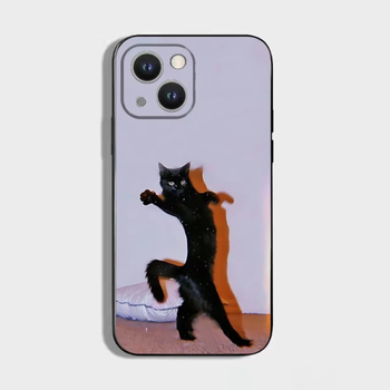 Abstraktne naljakas kassipoeg, mis sobib Iphone16Plus kukkumisvastase mobiiltelefoni ümbrisega, armsad päikeseprillid, Cat 11Pro pehme ümbris