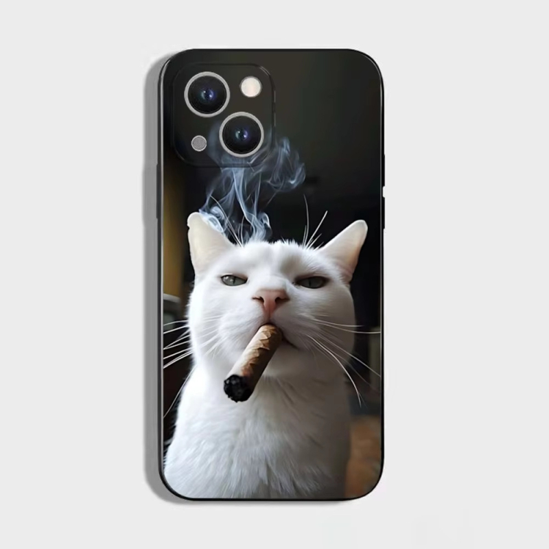 Abstraktne naljakas kassipoeg, mis sobib Iphone16Plus kukkumisvastase mobiiltelefoni ümbrisega, armsad päikeseprillid, Cat 11Pro pehme ümbris