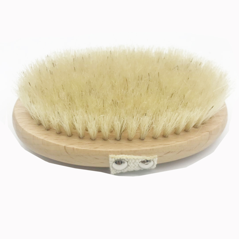 Tehase kohapealne pöögist ovaalne sisal vanniharja korpus Vanni hõõrumishari kuivhari kaheotstarbeline hari