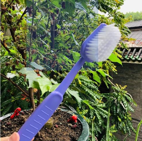 Suur hambahari Vannihari Lemmikloomade puhastushari Vannihari Massaažihari