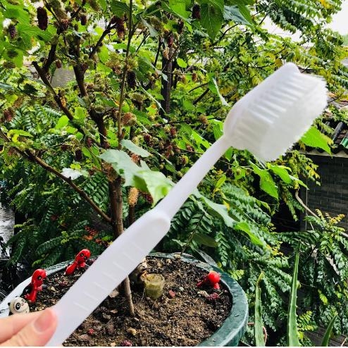 Suur hambahari Vannihari Lemmikloomade puhastushari Vannihari Massaažihari