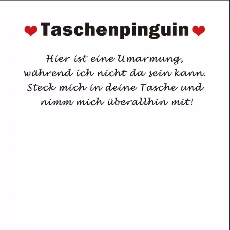 Piiriülene uus ALittle PocketPenguin Hugs Pocket Penguin Hugs Pocket loominguline kingitus