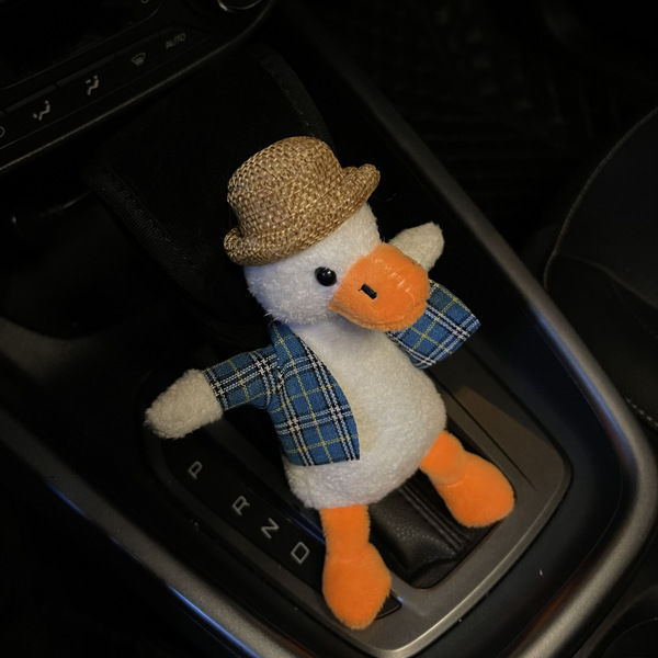 Auto käsipidurikomplekti käigukangi kate, armas universaalne käigukastikomplekt, käigukaitsekate, auto sisekujunduse komplekt