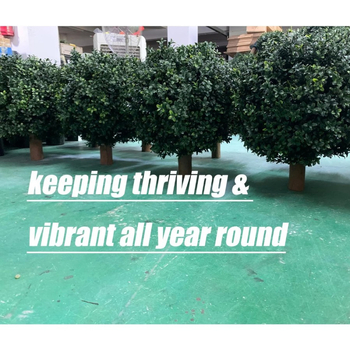 Τεχνητός σφαιρικός θάμνος boxwood | Πλαστικό, Κατασκευή με έγχυση, Διαθέσιμο: 33703, Μάρκα Neutral, Για γάμους, υπαίθρια διακόσμηση και διακόσμηση οικίας