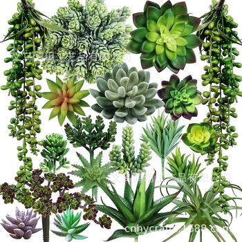 DIY zidni dekorativni set od flokiranih umjetnih sukulenata – glavica cvijeta Lover's Tears Aloe, mekan PVC, injekcijsko oblikovanje, Hong Yue, oko 900 g