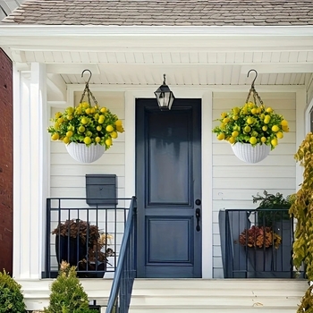 Изкуствен лимонов клон, пластмасов, инжекционно формован, сорт 3283093, растение за висяща саксия