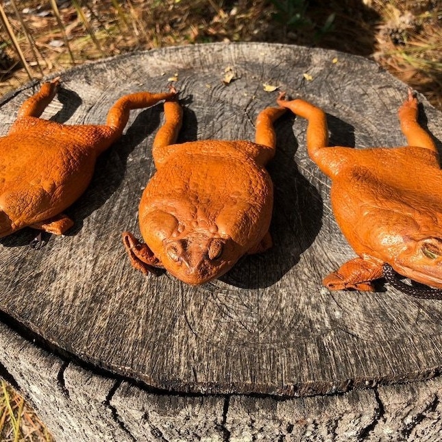 Novčanik s motivom životinja, unisex, zima 2021, svakodnevna uporaba