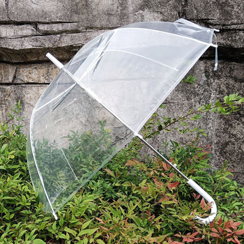 Apollo skaidrus skėtis su 8 rėmų briaunomis, plastine rankena, geležinis stiebas, pusiau automatinis atidarymas