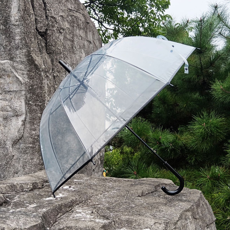 Apollo skaidrus skėtis su 8 rėmų briaunomis, plastine rankena, geležinis stiebas, pusiau automatinis atidarymas