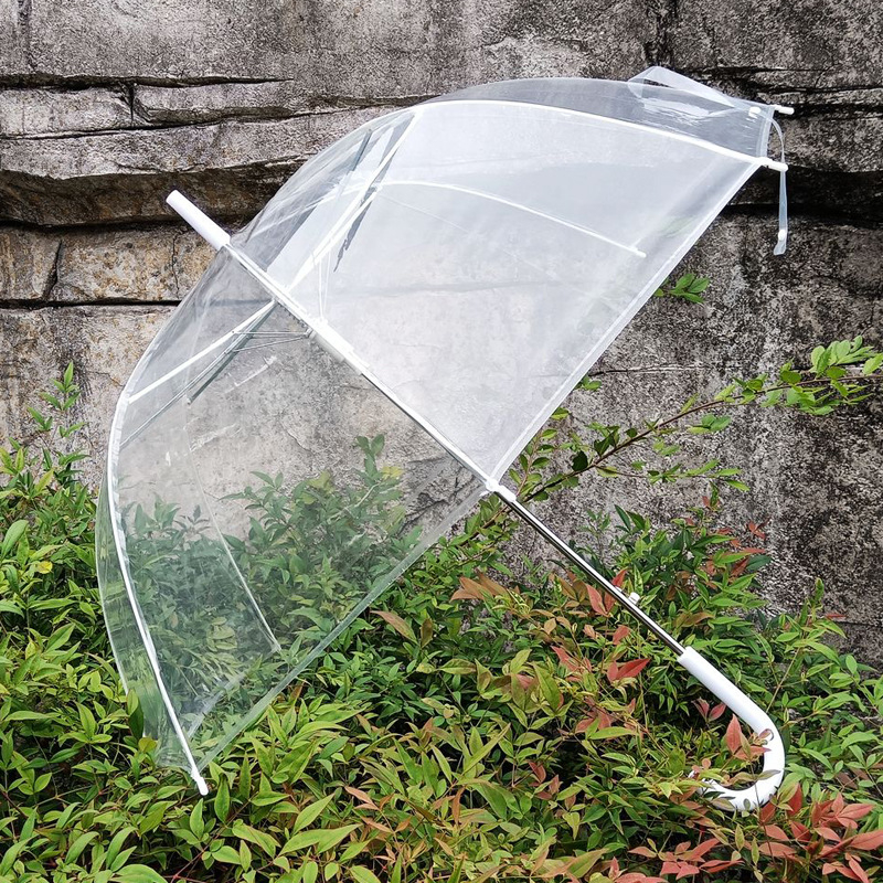 Apollo skaidrus skėtis su 8 rėmų briaunomis, plastine rankena, geležinis stiebas, pusiau automatinis atidarymas