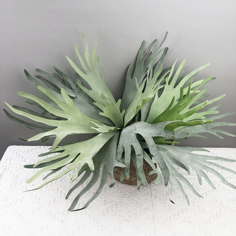 Изкуствено растение с листа във форма на рог за стена и вертикално озеленяване, декоративна композиция за сватби и фотосесии