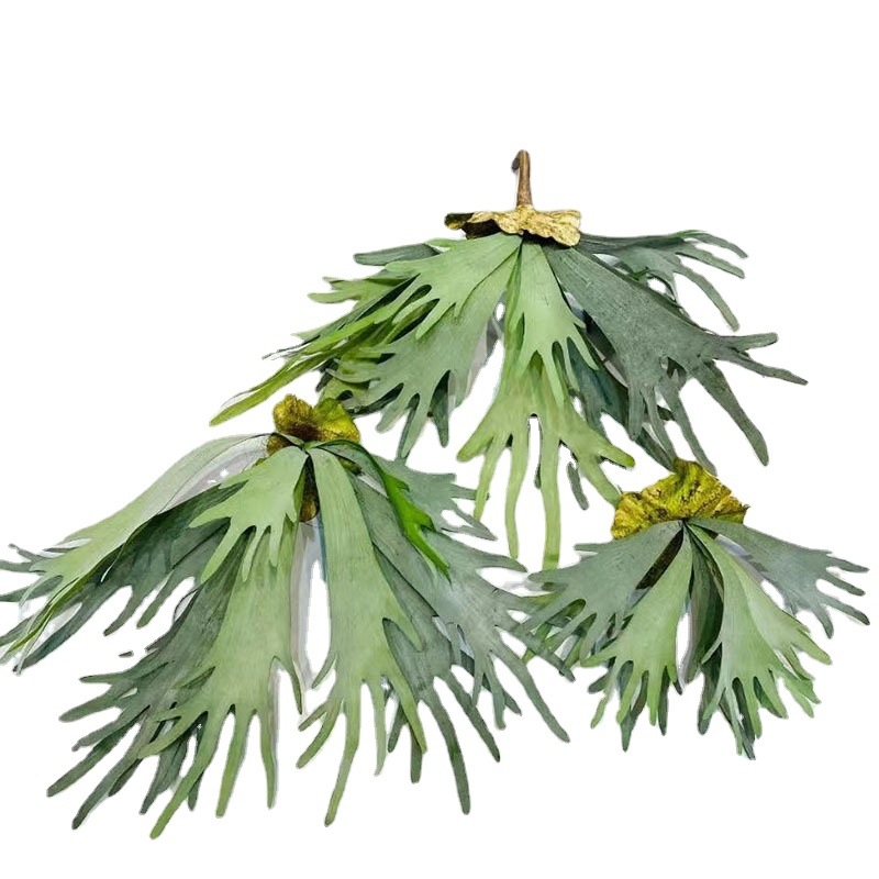 Изкуствено растение с листа във форма на рог за стена и вертикално озеленяване, декоративна композиция за сватби и фотосесии