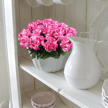 Букет Begonia от коприна, петглавен, за домашна декорация в хол и спалня, реквизит за фотосесии