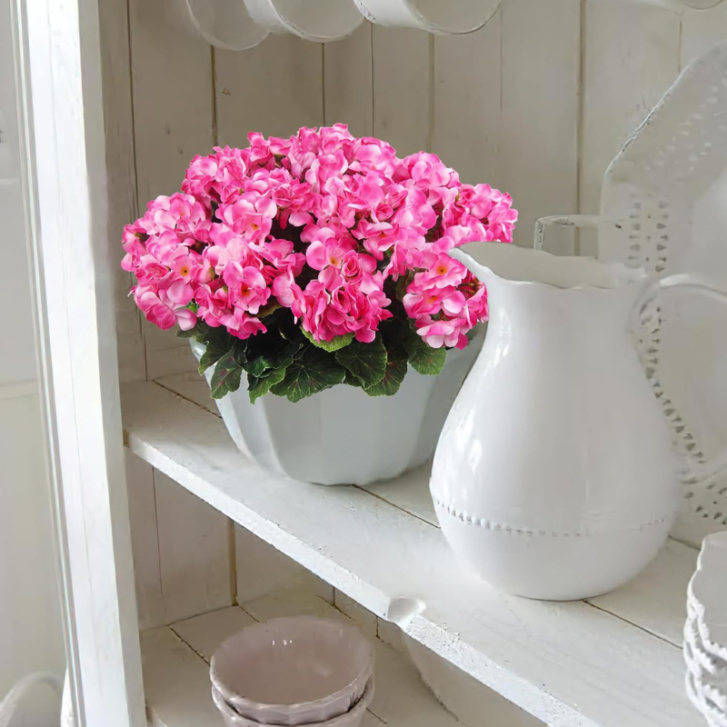 Букет Begonia от коприна, петглавен, за домашна декорация в хол и спалня, реквизит за фотосесии