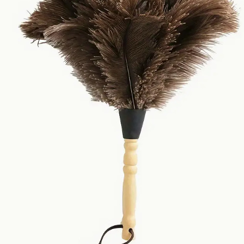 Četka za prašinu s perju strutsa, plosna glava, teleskopska cijev od nehrđajućeg čelika i drvena drška