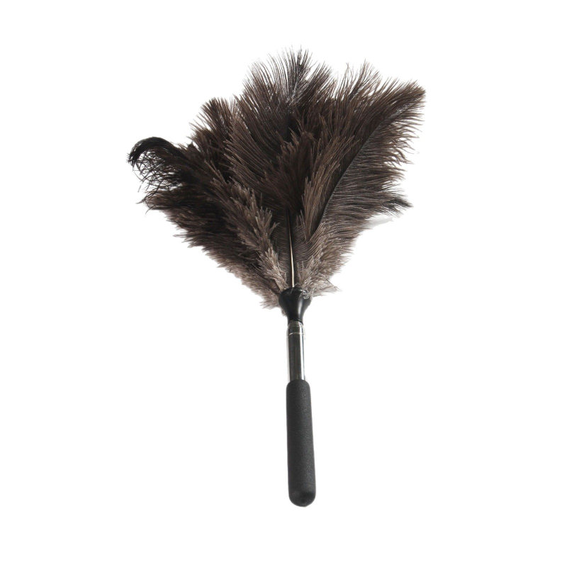 Četka za prašinu s perju strutsa, plosna glava, teleskopska cijev od nehrđajućeg čelika i drvena drška