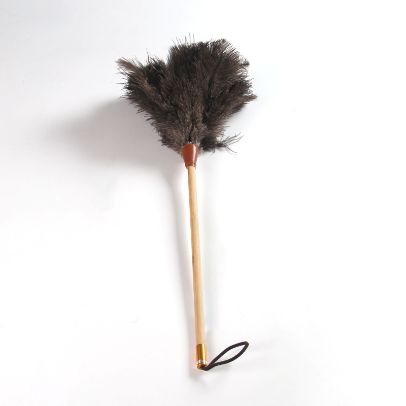 Četka za prašinu s perju strutsa, plosna glava, teleskopska cijev od nehrđajućeg čelika i drvena drška