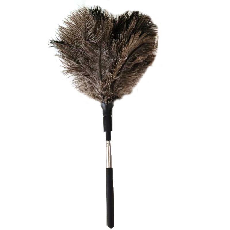 Četka za prašinu s perju strutsa, plosna glava, teleskopska cijev od nehrđajućeg čelika i drvena drška