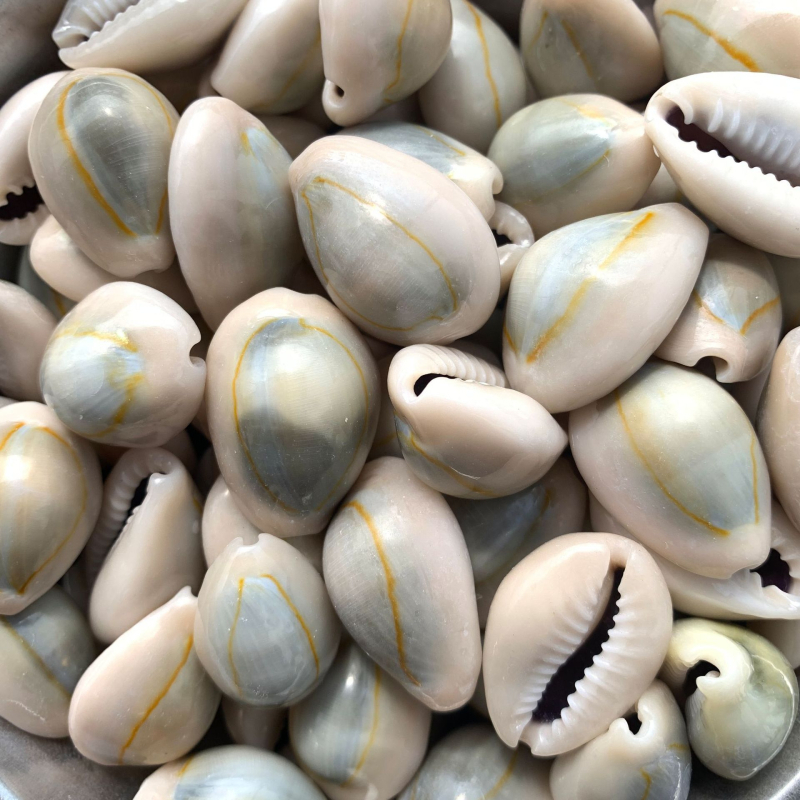 Figurine din scoici realizate manual pentru micro peisaj de acvariu, suprafețe lustruite, stil mediteranean, personalizabile