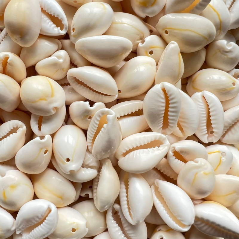 Figurine din scoici realizate manual pentru micro peisaj de acvariu, suprafețe lustruite, stil mediteranean, personalizabile