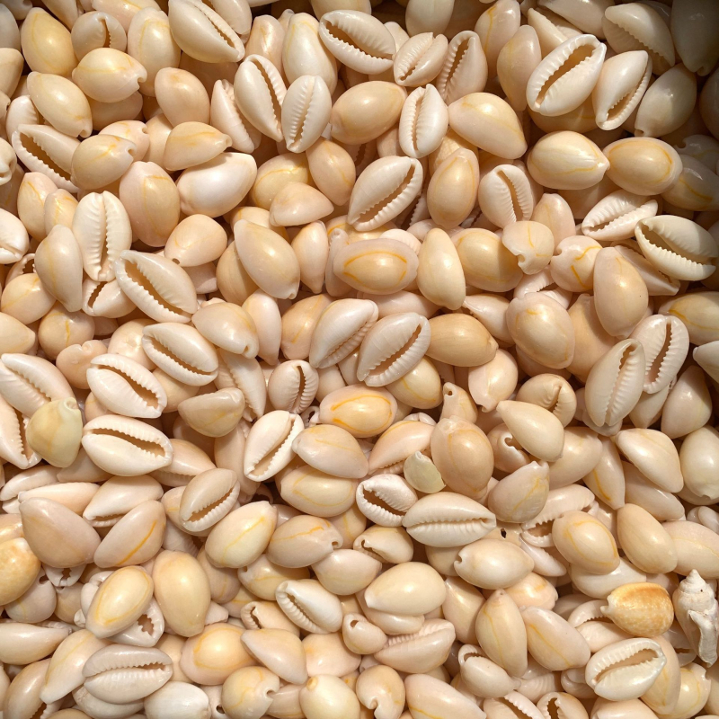 Figurine din scoici realizate manual pentru micro peisaj de acvariu, suprafețe lustruite, stil mediteranean, personalizabile