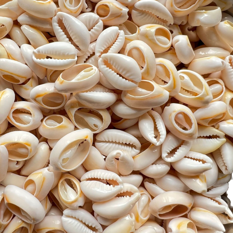 Figurine din scoici realizate manual pentru micro peisaj de acvariu, suprafețe lustruite, stil mediteranean, personalizabile