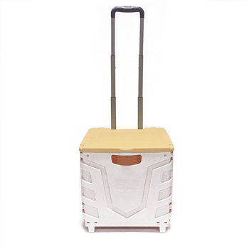 Bafuluo Αναδιπλούμενο καπάκι δύο-τροχών καρότσι αγορών – PP πλαστικό, χωρητικότητα 35 kg, προσαρμογή λογότυπου