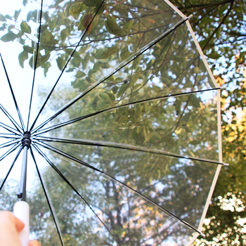 Ομπρέλα με μακριά λαβή, 16 βέργες, αυτόματη λειτουργία ανοίγματος, διαφανής PVC κάλυμμα, ευθύς σωλήνας, δυνατότητα εκτύπωσης λογότυπου