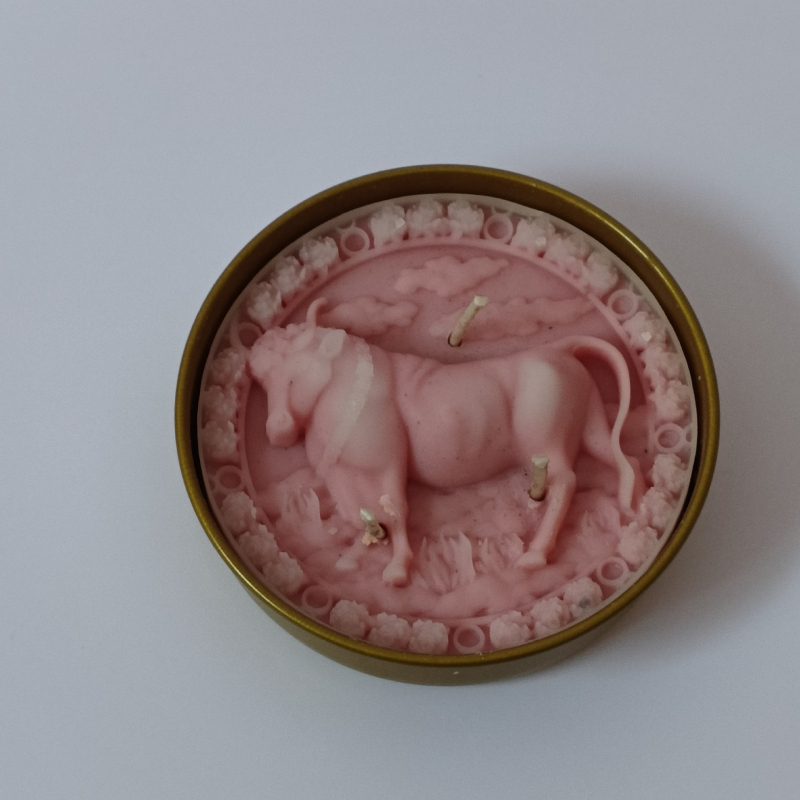 Dvylika zodiako ženklų gimtadienio žvakių, cilindrinės formos, parafinas, rankų darbo