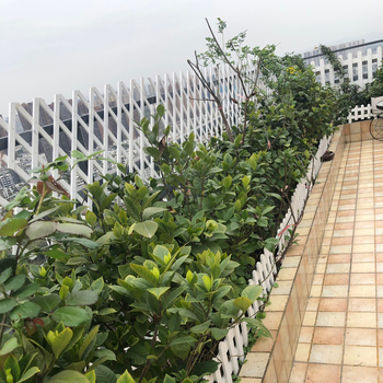 Дървена градинска ограда и решетка за катерене, стенен държач за цветя, пасторален стил, за външна употреба