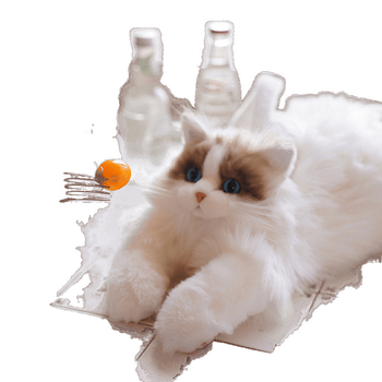 Wc0 Ragdoll katės kuprinė – pūkuotas žaislas-lėlė mergaitei