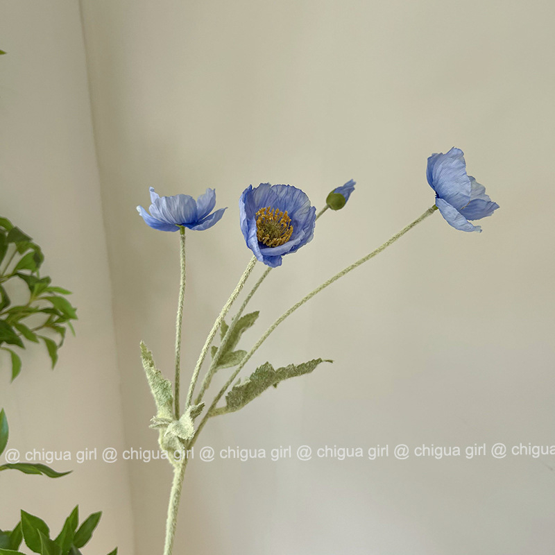 Dirbtinis aguonų žiedas – plastmasės medžiaga, vestuvėms, lauko naudojimui, nuotraukų rekvizitai, namų dekorui