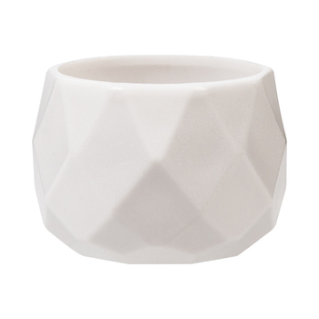 Plastikinis gėlių vazonas su injekciniu liejimu, skirtas staliniam naudojimui, paprastas stilius, tinkama biurui ir namų dekorui.