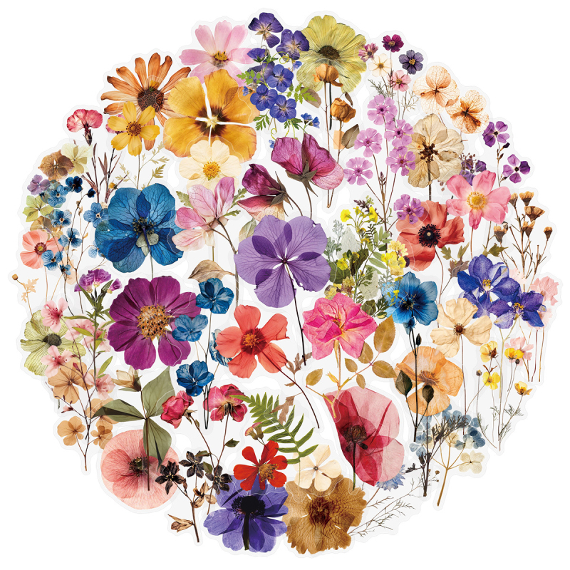 PET lipdukų rinkinys – 50 skaidrių reljefinių augalų motyvų lipdukų lakštai; skirti užrašų knygelėms, planšetėms, telefono dėklams ir puodeliams; spausdinimas; šiuolaikinis minimalistinis stilius