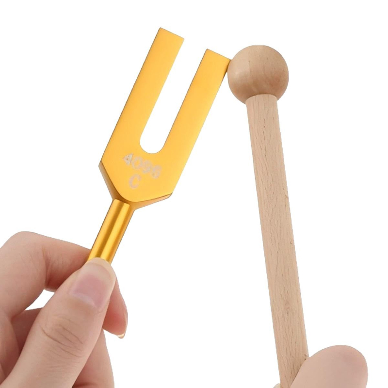 Medicínska nervová ladená vidlička s frekvenciami 4096C, 4225C a 4160C, obsahuje kladivo na ladenie a krištáľový kameň