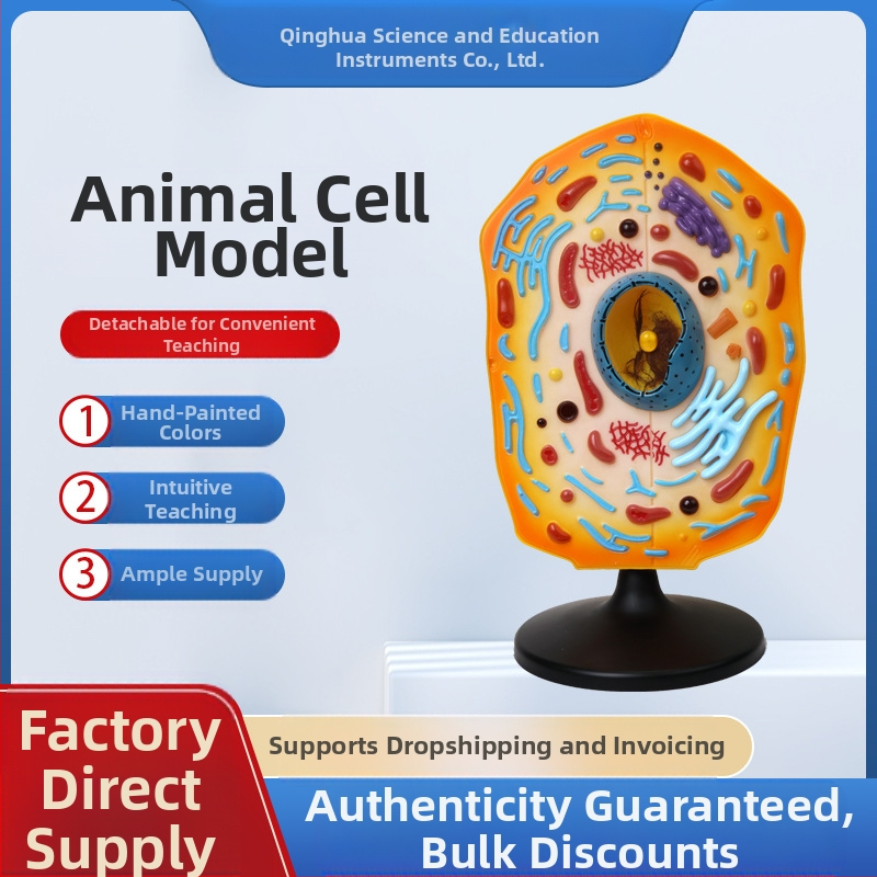 Qinghua QH3216-1 model živočíšnej bunky pre strednú školu, ABS materiál, 6 kusov v balení