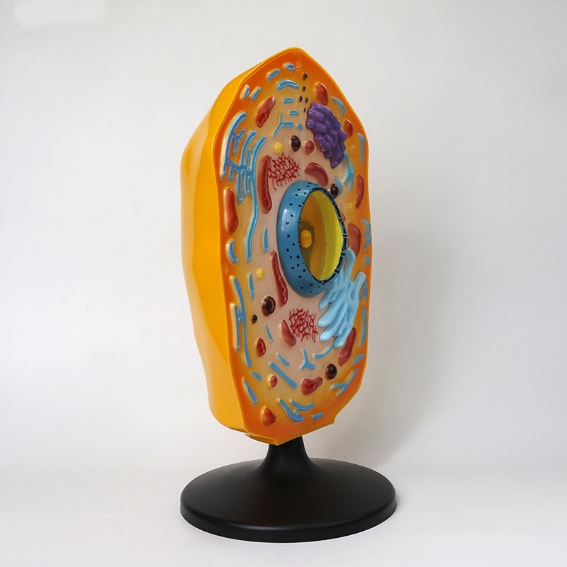 Qinghua QH3216-1 model životinjske stanice za srednju školu, ABS materijal, 6 komada u kutiji