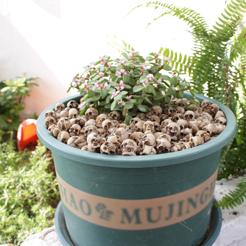 Dervinių skeletų dekoratyvinis rinkinys gėlėms ir mikro kraštovaizdžiams; karpymas, liejimas, pusiau mechaninės technikos