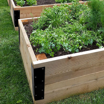 Μεταλλική γωνιακή στήριξη κήπου για έπιπλα (Υλικό: Ατσάλι; Τύπος: Γωνιακή στήριξη κήπου για έπιπλα; Εφαρμογές: κήπος, κρεβάτι λουλουδιών, κρεβάτι λαχανικών; Μάρκα: Neutral)