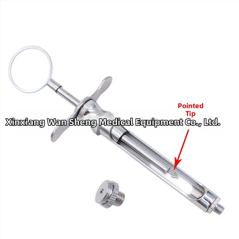 Siringă dentară cu două capete: vârf cu cârlig și vârf ascuțit, instrument oral din oțel inoxidabil