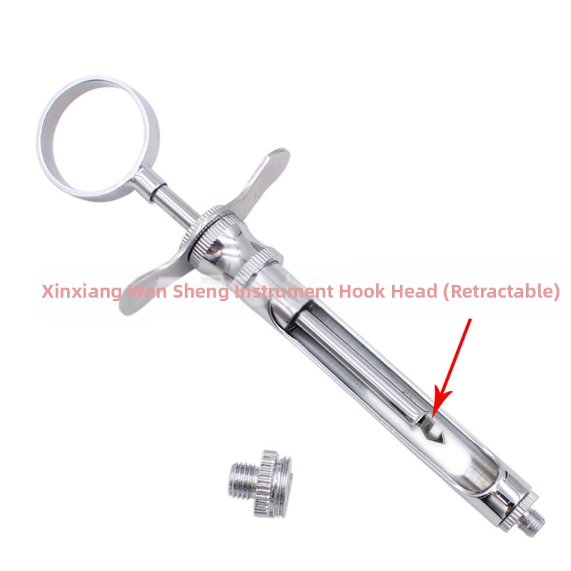 Siringă dentară cu două capete: vârf cu cârlig și vârf ascuțit, instrument oral din oțel inoxidabil