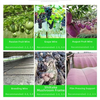 Aukštos tvirtumo PET poliesterio sodo virvė šiltnamiams: užuolaidų laikiklio virvė, paukščių tinklo virvė, vynmedžių ir passion fruit atraminė linija. Prekės ženklas: Ruihe new materials; tinka sodo rėmams ir auginimo įrangai.