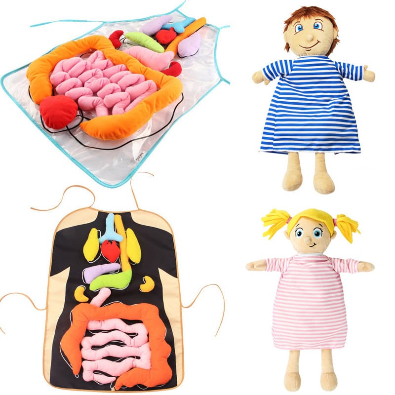 Mīksta izglītojošā rotaļlieta ar 3D cilvēka anatomijas orgānu struktūru (PP kokvilnas pildījums, īss pūkains materiāls, 0–3 gadi)