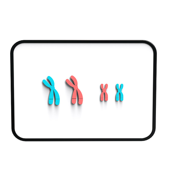 Liuxin διδακτικό εργαλείο: Μοντέλο αλλαγής χρωμοσωμάτων στη μίωση με μαγνητική προσρόφηση