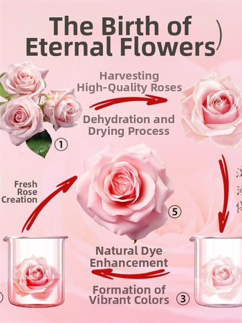 Κουτί δαχτυλιδιών από Cortical με αιώνιο λουλούδι και συσκευασία κοσμημάτων